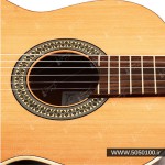 گیتار الحمرا مدل 2c